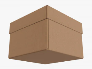 Deksel en probeer kartonnen doos 06 3D Model