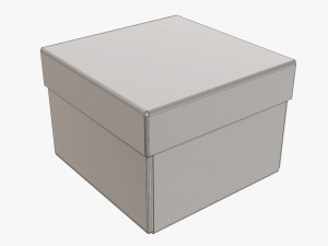 Lid and try cardboard box 06 3D Model