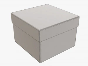 Deksel en probeer kartonnen doos 06 3D Model