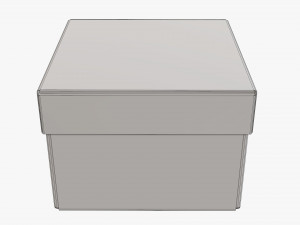 Lid and try cardboard box 06 3D Model