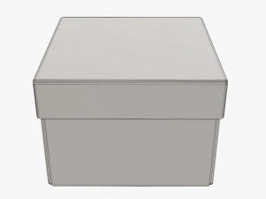 Deksel en probeer kartonnen doos 06 3D Model
