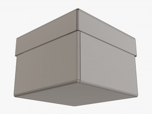 Lid and try cardboard box 06 3D Model