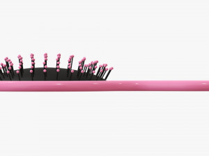 Paddle hair brush 3D 모델