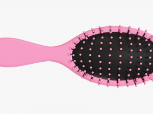 Paddle hair brush 3D 모델