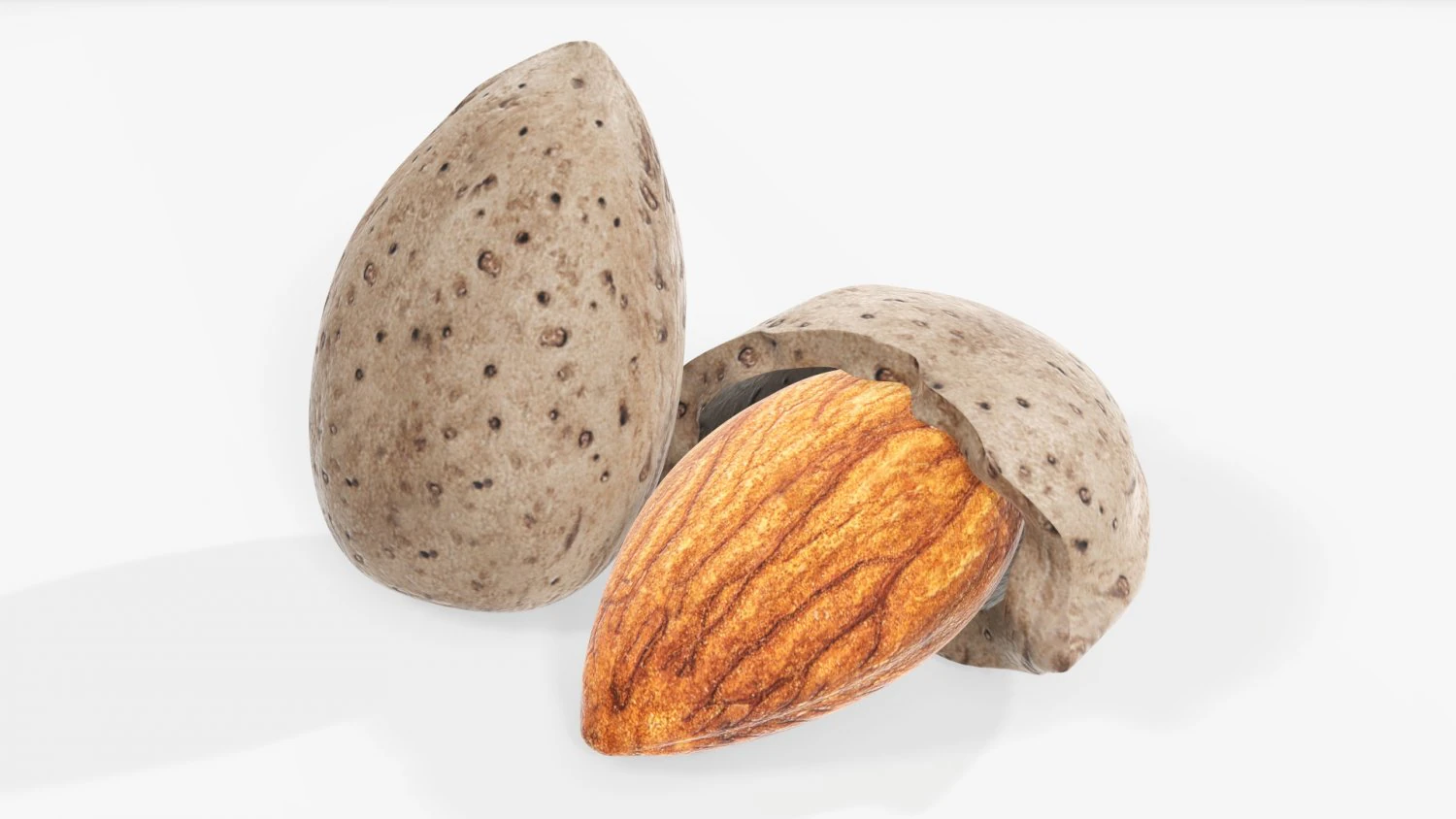 Almond nuts 01 3D Model .c4d .max .obj .3ds .fbx .stl .blend 
