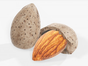 Almond nuts 01 Modelo 3D