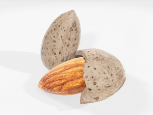 Almond nuts 01 3D मॉडल
