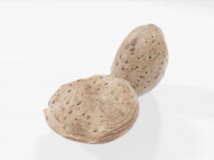 Almond nuts 01 3D मॉडल