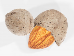 Almond nuts 01 3D मॉडल