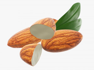 Almond nuts 02 3D Model