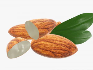 Almond nuts 02 3D Model