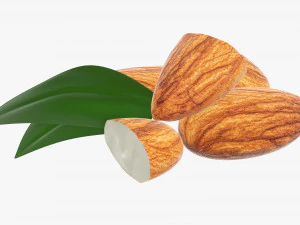 Almond nuts 02 3D Model