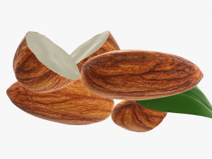 Almond nuts 02 3D Model