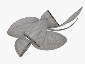Almond nuts 02 Modelo 3D