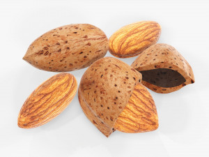 Almond nuts 03 3D Model