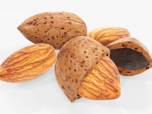 Almond nuts 03 3D Model