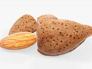 Almond nuts 03 3D Model