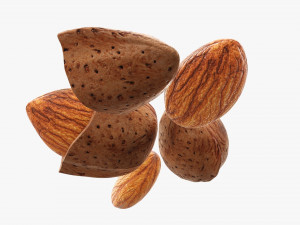 Almond nuts 03 Modello 3D