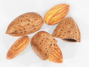 Almond nuts 03 Modello 3D