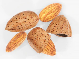Almond nuts 03 3D Model