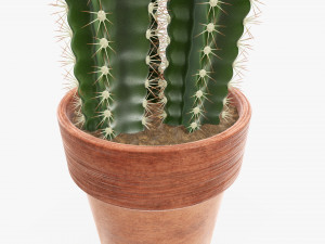Cactus in planter pot plant 01 3D Model