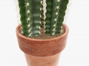 Cactus in planter pot plant 01 3D Model