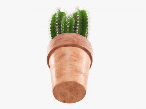 Cactus in planter pot plant 01 3D Model