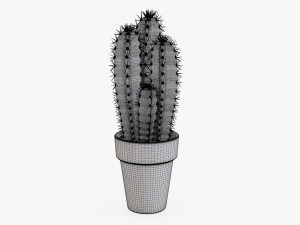 Cactus in planter pot plant 01 3D Model
