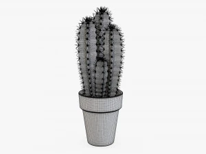 Cactus in planter pot plant 01 3D Model