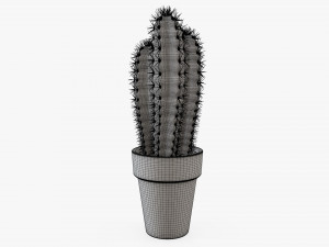 Cactus in planter pot plant 01 3D Model
