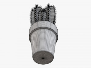 Cactus in planter pot plant 01 3D Model