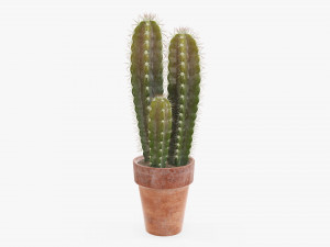 Cactus in planter pot plant 02 Modelo 3D