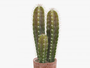 Cactus en maceta planta 02 Modelo 3D