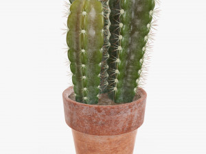 Cactus in planter pot plant 02 Modelo 3D