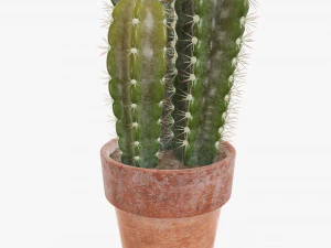 Cactus en maceta planta 02 Modelo 3D