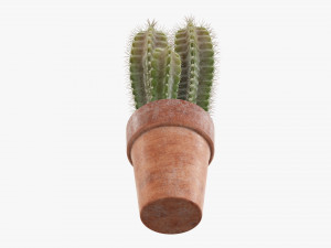 Cactus in planter pot plant 02 Modelo 3D