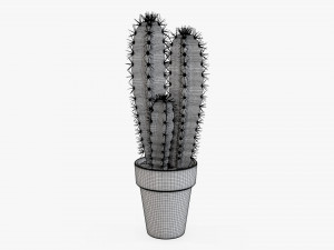 Cactus in planter pot plant 02 Modelo 3D