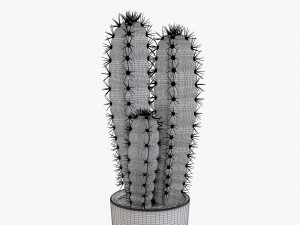 Cactus in planter pot plant 02 Modelo 3D
