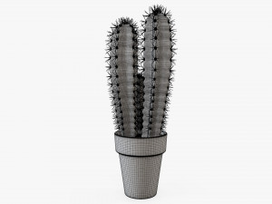 Cactus in planter pot plant 02 Modelo 3D