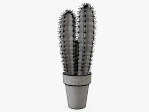 Cactus en maceta planta 02 Modelo 3D