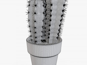 Cactus in planter pot plant 02 Modelo 3D