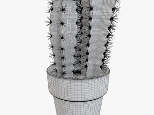 Cactus en maceta planta 02 Modelo 3D