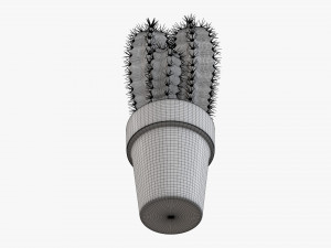 Cactus in planter pot plant 02 Modelo 3D