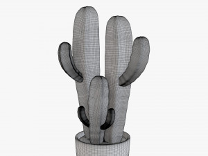 Cactus in planter pot plant 03 stylized Modelo 3D