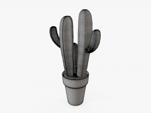 Cactus in planter pot plant 03 stylized Modelo 3D