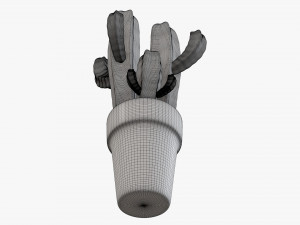 Cactus in planter pot plant 03 stylized Modelo 3D