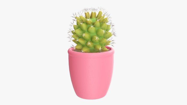 Actus plant in pot Modelo 3D .c4d .max .obj .3ds .fbx .stl .blend 