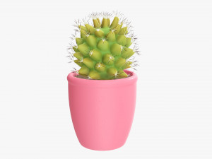 Actus plant in pot Modelo 3D