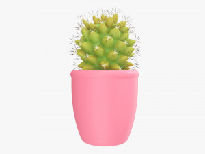Actus plant in pot Modelo 3D