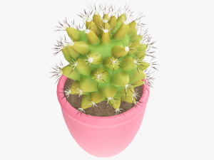 Actus plant in pot Modelo 3D